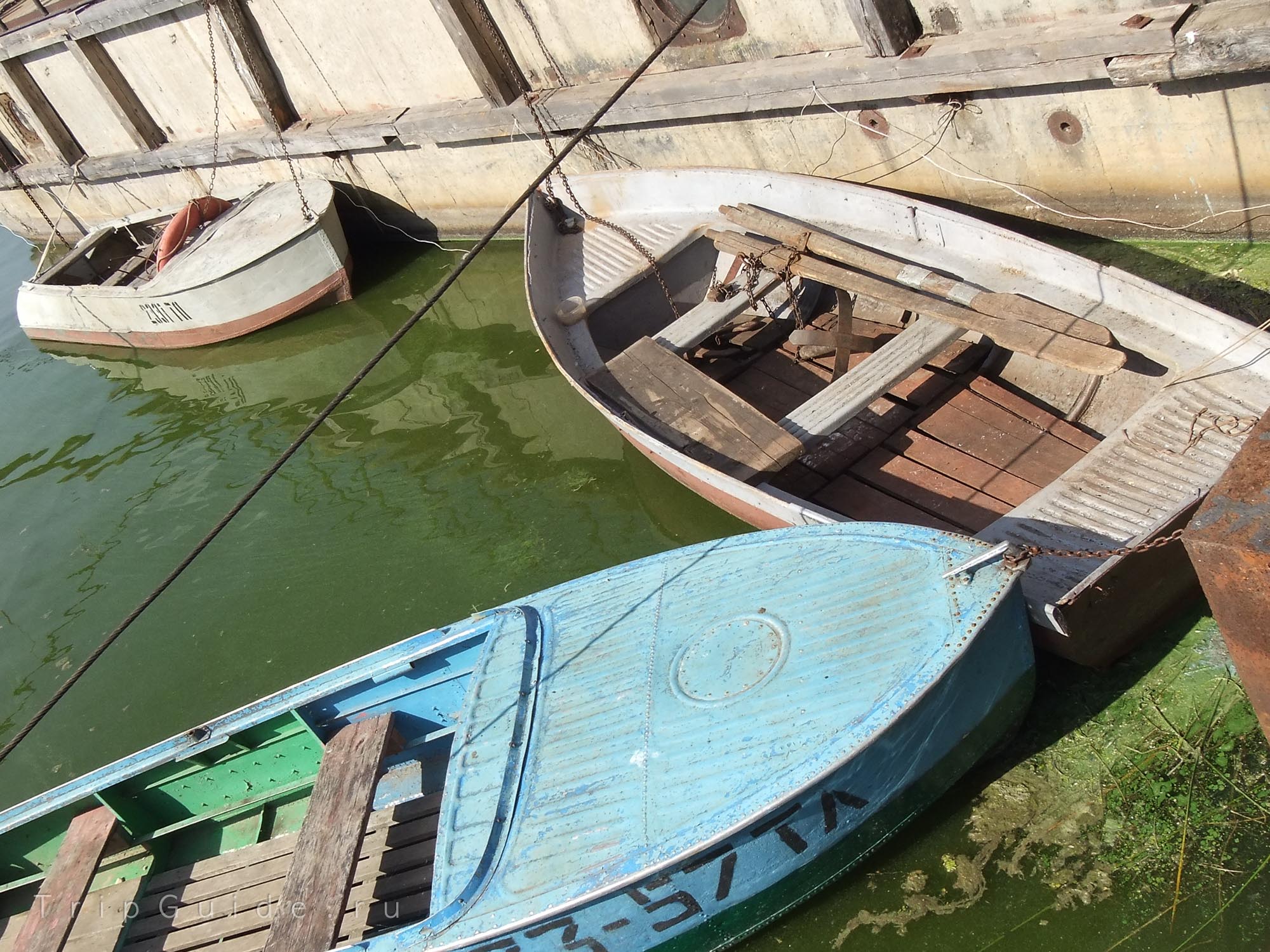 Лодки и цветущая вода