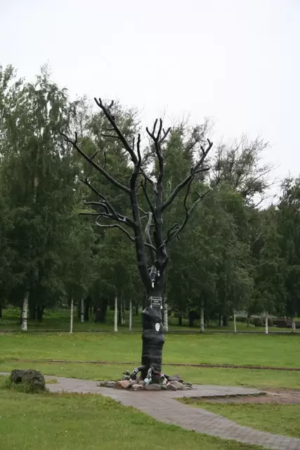 Петрозаводск. Дерево желаний