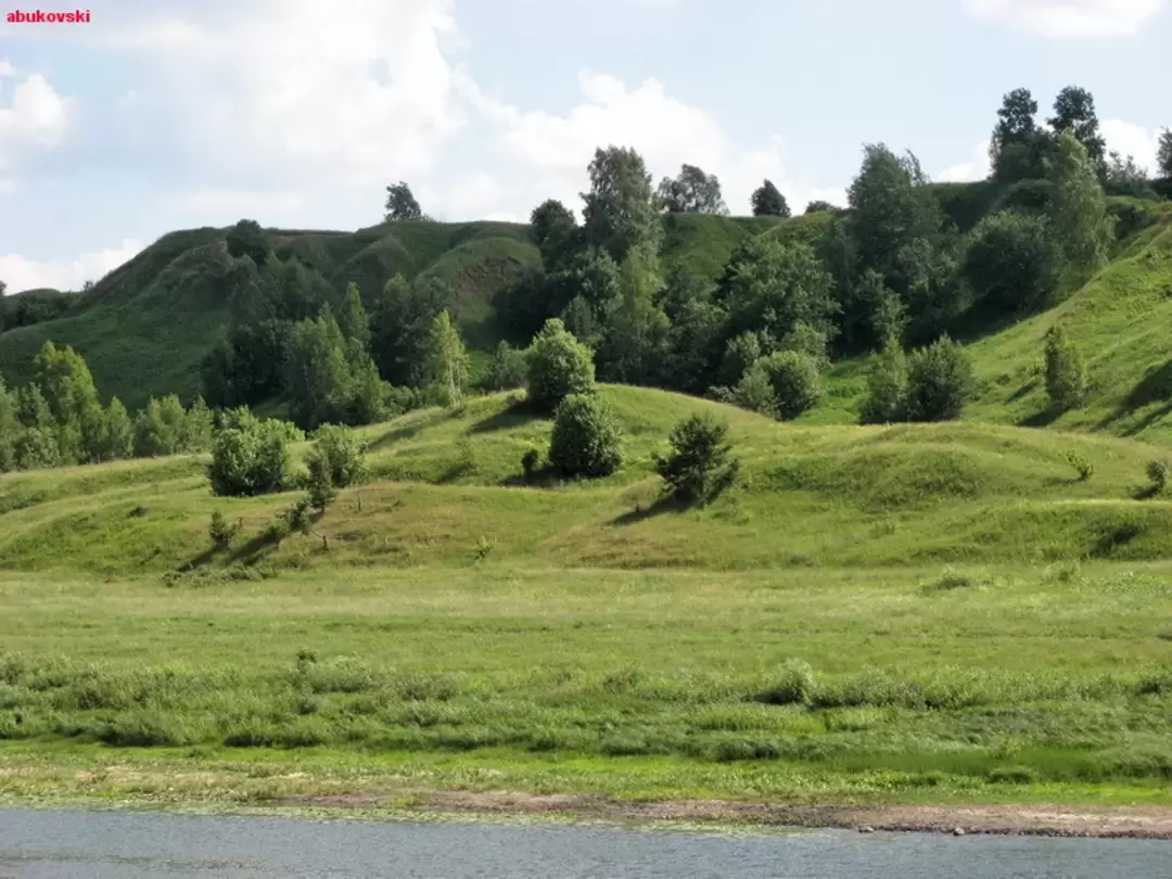 Зеленые берега реки