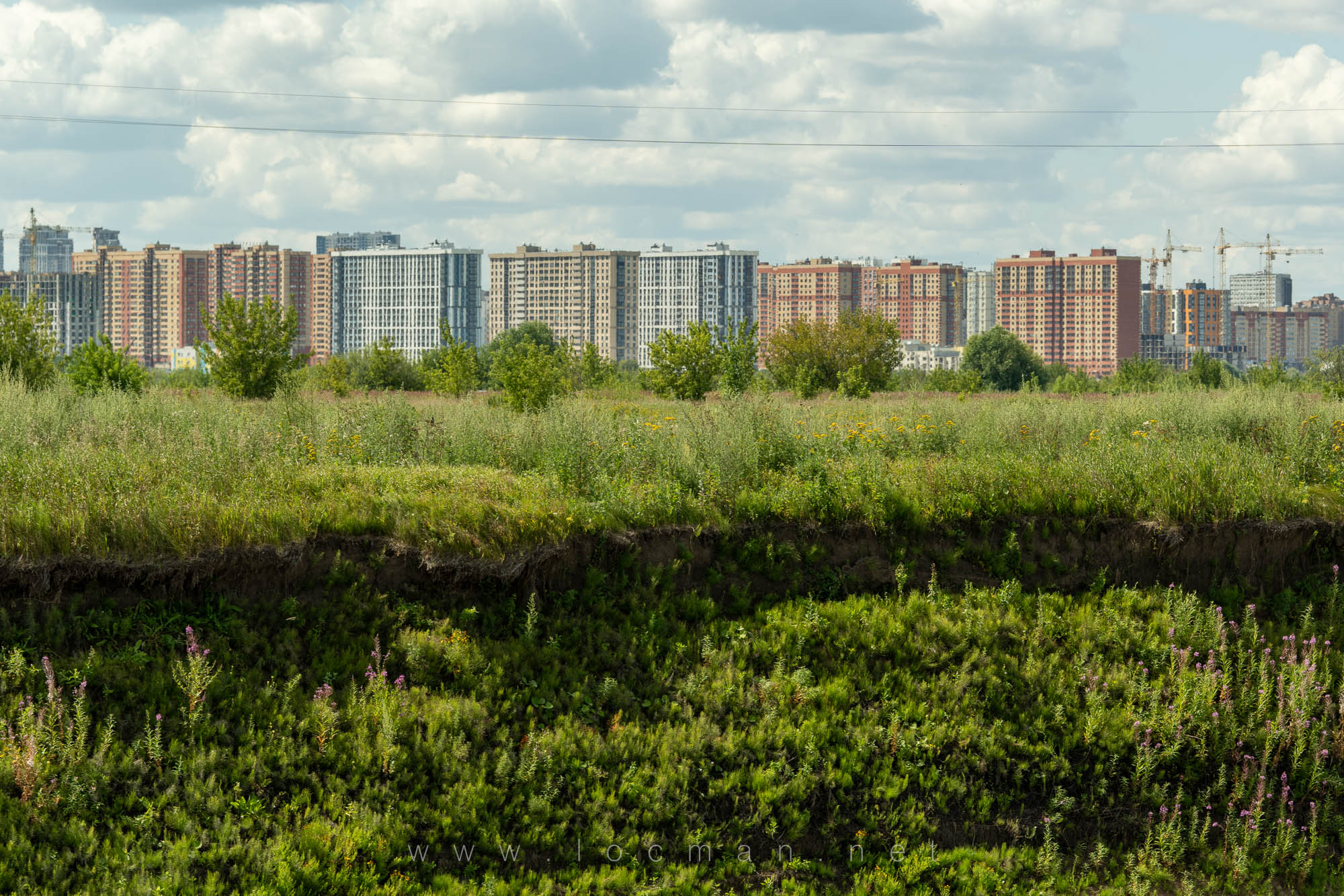 Новостройки Рязани на фото