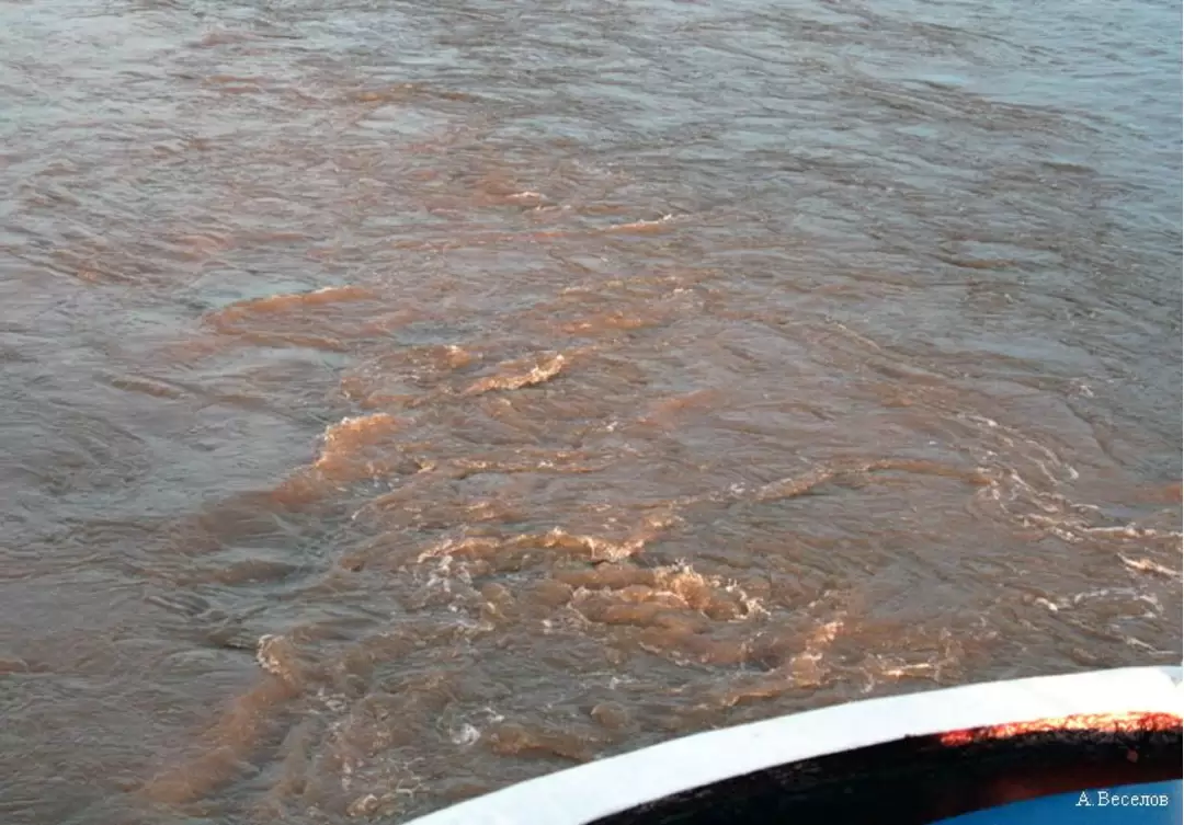 Вода в реке Ковже коричневого цвета