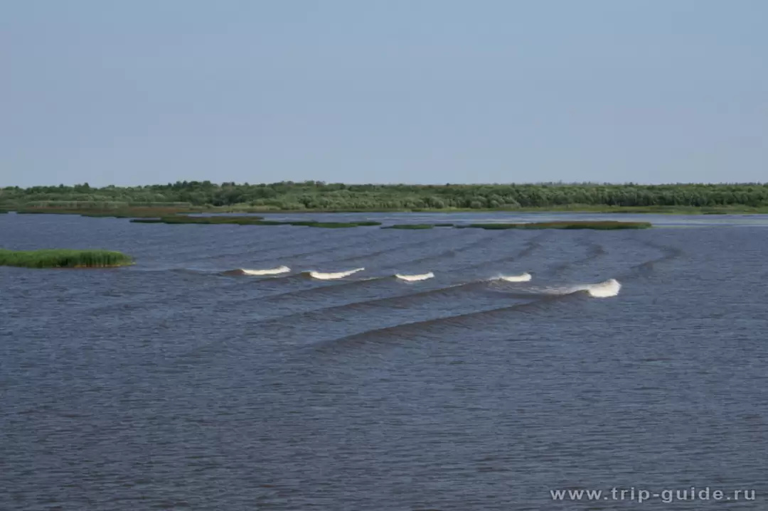 Мели