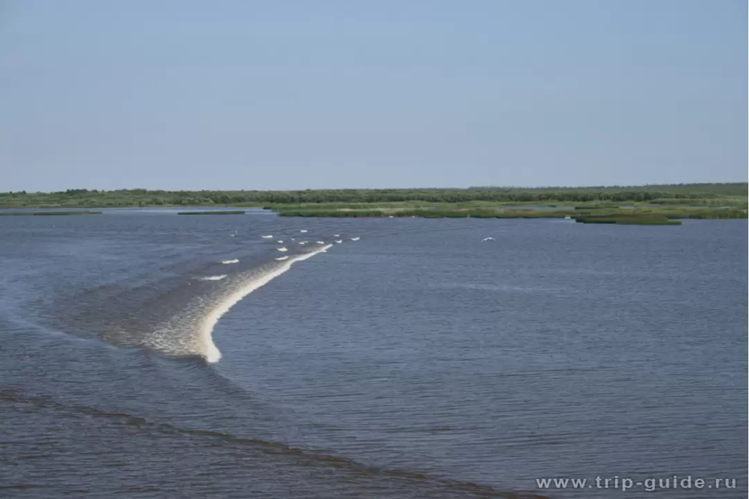 Мели