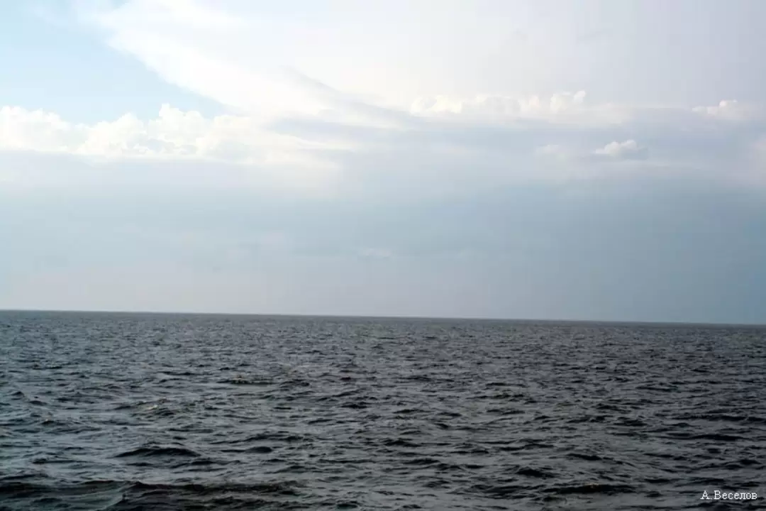 Волга, Рыбинское водохранилище